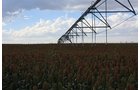 Property photo 84 - LAND AUCTION, 3255+/- Acres offered in 13 Tracts